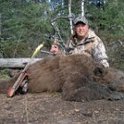 AR09-Dave Corrigan Bear09 II.jpg